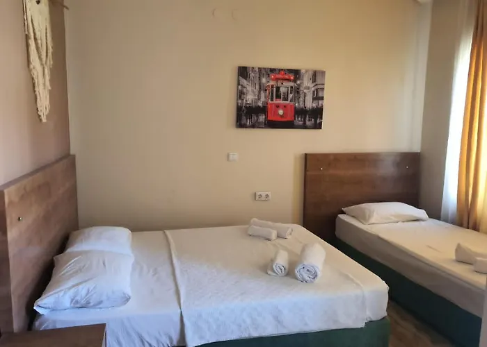Проживание в семье Casaba *