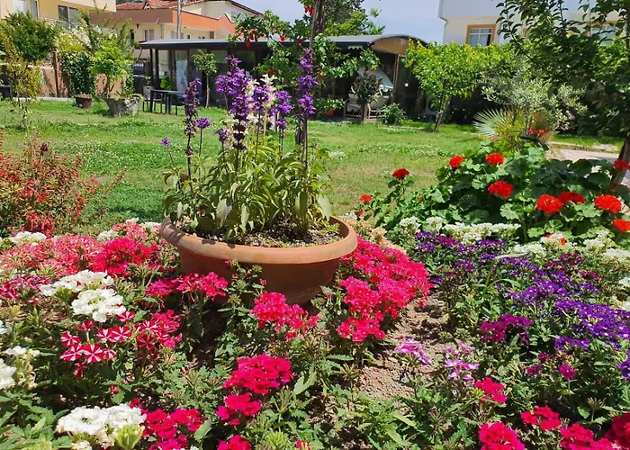 Casaba Проживание в семье Кемер